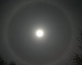 Moon Halo Taken on the cold, clear night of December 13, 2008 using a Canon 300D and 18-55mm zoom lens set at 18mm.