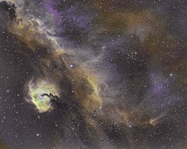 Seagull Nebula (IC 2177) IC 2177 is a region of nebulosity that lies along the border between the constellations Monoceros and Canis Major. It is a roughly circular H II region centered...