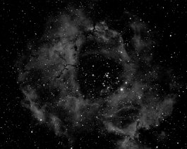 Rosette Nebula Rosette Nebula (NGC 2237) in Monoceros: Imaged with a Takahashi FSQ-106ED and Meade DSI III monochrome camera and hydrogen-alpha filter.