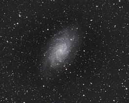 Triangulum Galaxy (M33) Spiral galaxy located 2.75 million light-years away in the constellation Triangulum. Acquired from Mattawan, MI on November 22, 2019. Equipment includes an...