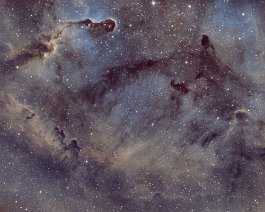 Elephant's Trunk Nebula The Elephant's Trunk Nebula is a concentration of interstellar gas and dust within the much larger ionized gas region IC 1396 located in the constellation...