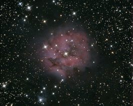 Cocoon Nebula (IC 5146) David obtained this image on August 26, 2022 during the Garten Getaway , a stargazing weekend on a member's property in the Huron-Manistee Forest. Dave used his...