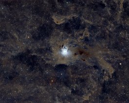 Iris Nebula Widefield Dave took this wide-field image of the Iris Nebula with a William Optics RedCat 71 and ZWO ASI2600MC Pro camera on a Rainbow Astro RST135 Harmonic drive mount....