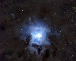 Iris Nebula NGC 7023 is a reflection nebula is located 1,300 light-years away in Cepheus. Equipment included an iOptron 8-inch Ritchey-Chretien telescope and a ZWO ASI533MC...