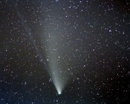 Comet NEOWISE Taken on July 27, 2020 from West Side County Park north of South Haven, MI. Equipment includes a Nikon D5500 DSLR (at ISO 3200) with Sigma 70-300mm telephoto...
